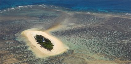 North Reef - QLD T (PBH4 00 18446)